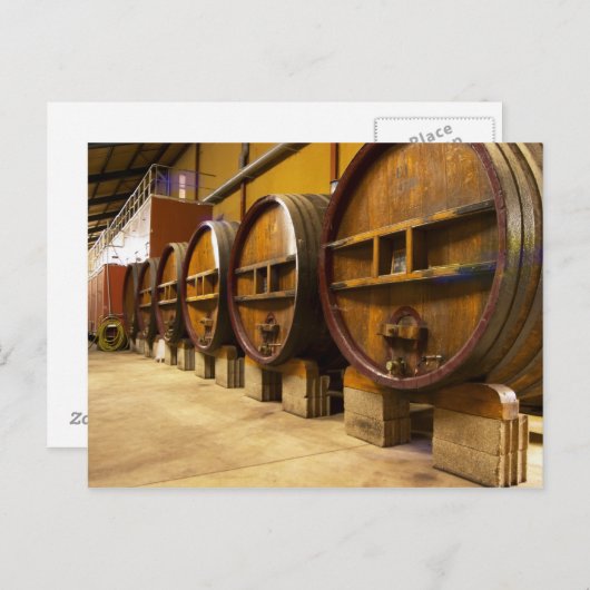 大きな古い木製の樽を持つワインセラーワイナリー ポストカード (正面/裏面)
