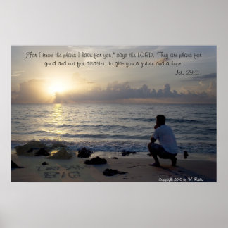 大きな夢 ポスター