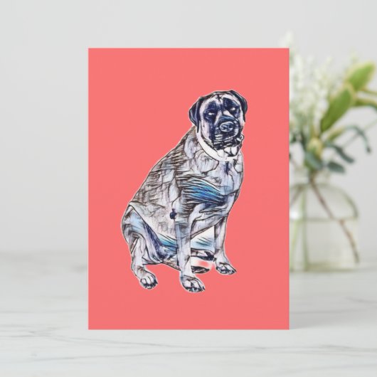 大きな大人の女性の英語マスチフ犬が着ている シーズンカード (スタンド正面)