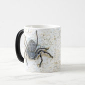 大きな女性の猟師クモ モーフィングマグカップ (正面左)