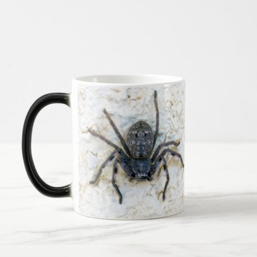 大きな女性の猟師クモ モーフィングマグカップ (左)