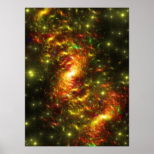 大きな宇宙–2009 ポスター (正面)