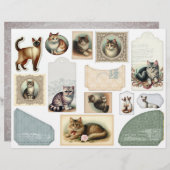 大きな封筒に猫かわいらしを入れレースのようる (正面/裏面)