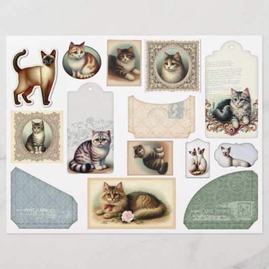 大きな封筒に猫かわいらしを入れレースのようる (正面)