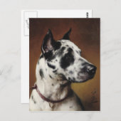 大きな平凡な葉書 ポストカード (正面/裏面)