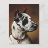 大きな平凡な葉書 ポストカード (正面)