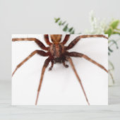 大きな怖いクモ 招待状 (スタンド正面)