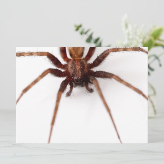 大きな怖いクモ 招待状 (スタンド正面)