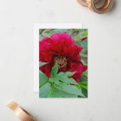 大きな恥ずかしいブルゴーニュ ノートカード (正面/裏面インサイチュ)