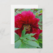 大きな恥ずかしいブルゴーニュ ノートカード (正面/裏面)