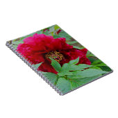 大きな恥ずかしいブルゴーニュ ノートブック (右側)