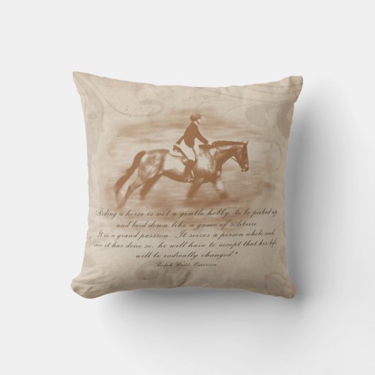 大きな情熱 クッション (正面)