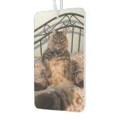 大きな抱きしめキャットカーエアーフレッシュナー カーエアーフレッシュナー (左)