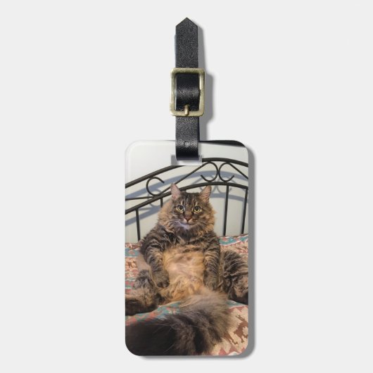 大きな抱きしめ猫の荷物タグ ラゲッジタグ (正面縦)