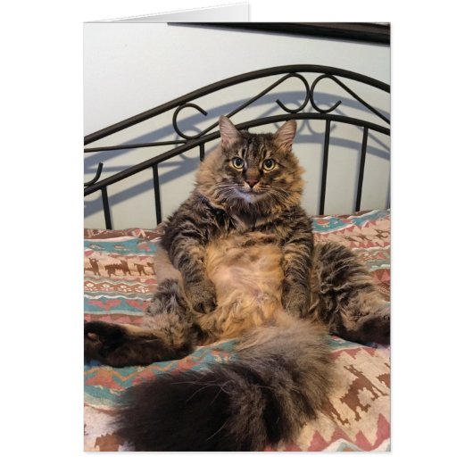 大きな抱きしめ空白のるCatカード (正面)