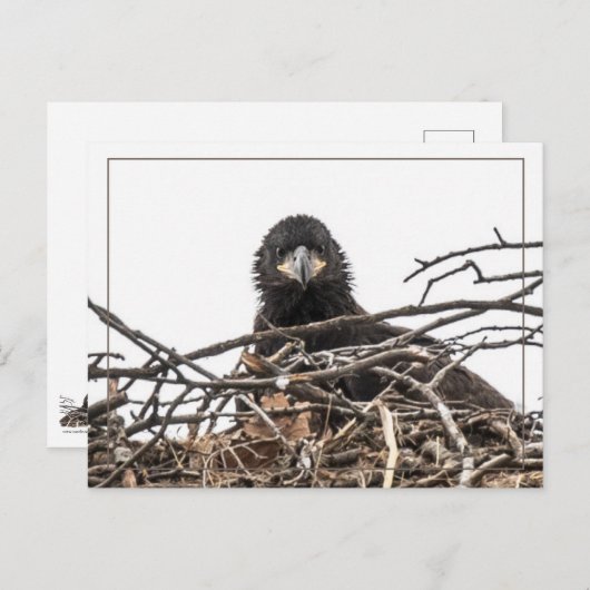 大きな新世界だ ポストカード (正面/裏面)