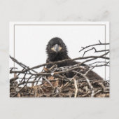 大きな新世界だ ポストカード (正面)