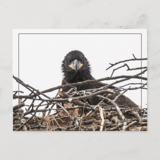 大きな新世界だ ポストカード (正面)