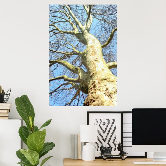 大きな木で空に枝をたくさん持つ、自然 ポスター (ホームオフィス)