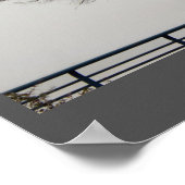 大きな木の写真 ポスター (角)