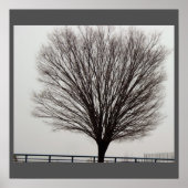 大きな木の写真 ポスター (正面)