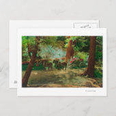 大きな木の間のステージコーチの見解 ポストカード (正面/裏面)