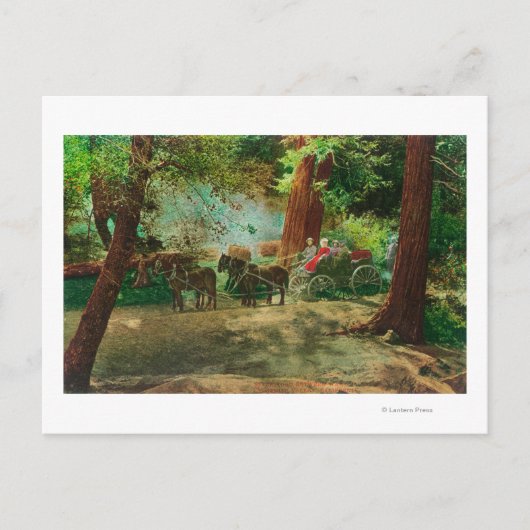 大きな木の間のステージコーチの見解 ポストカード (正面)