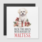 大きな枝でホールを飾るマルチーズ (正面/裏面)