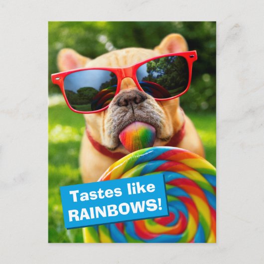 大きな棒つきキャンデー インビテーションポストカード (正面)