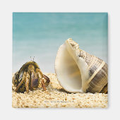 大きな殻を見たヤマネガニ マグネット (正面)