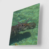 大きな海馬が水中を泳いでいる。 スクエア壁時計 (傾斜)