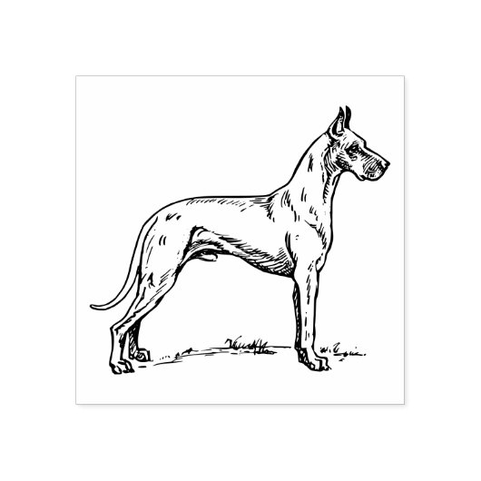 大きな犬の種類 ラバースタンプ (インプリント)