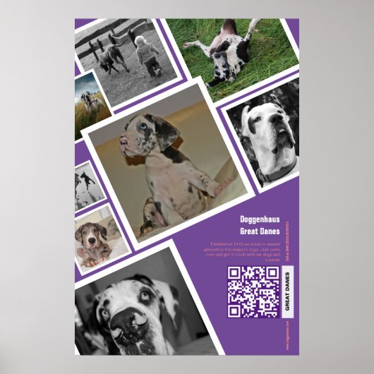 大きな犬の販売 ポスター (正面)