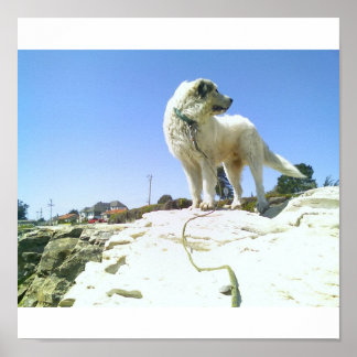 大きな犬 ポスター