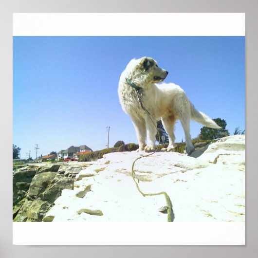 大きな犬 ポスター (正面)