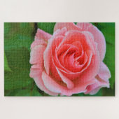 大きな独身のピンク色が近く上がった ジグソーパズル (横)