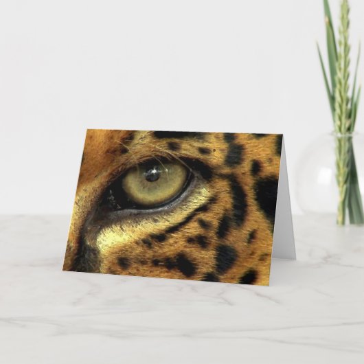 大きな猫の絶滅危ぐ種シリーズ シーズンカード (正面)