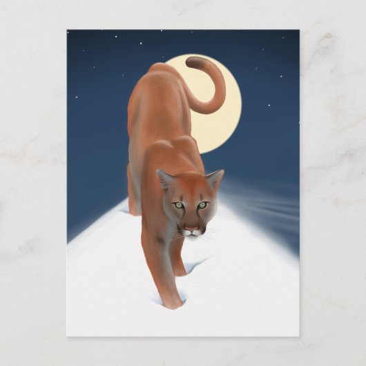 大きな猫インザウィンタースノーマウンテンライオン ポストカード (正面)