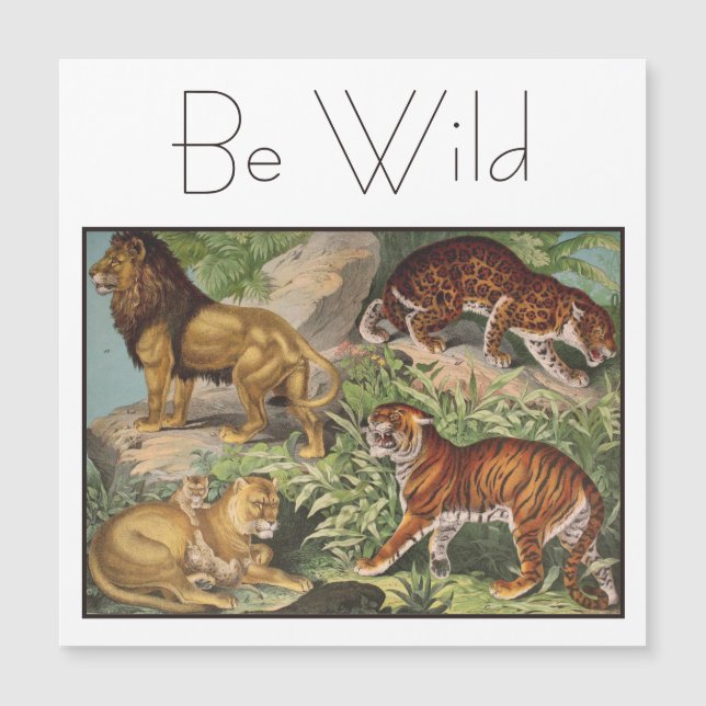 大きな猫エレガントライオンズタイガース、ヒョウヴィンテージ (正面)