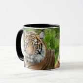 大きな猫スマトラーンTiger写真 コーヒーマグカップ (正面左)