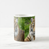 大きな猫スマトラーンTiger写真 コーヒーマグカップ (中央)