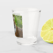 大きな猫スマトラーンTiger写真 ショットグラス (右)