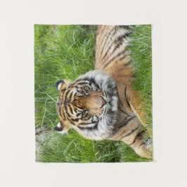 大きな猫スマトラーンTiger写真 タペストリー