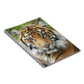 大きな猫スマトラーンTiger写真 ノートブック (右側)