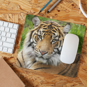 大きな猫スマトラーンTiger写真 マウスパッド