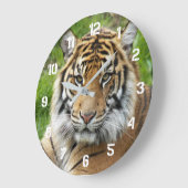 大きな猫スマトラーンTiger写真 ラージ壁時計 (傾斜)