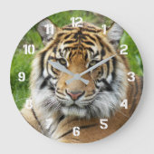 大きな猫スマトラーンTiger写真 ラージ壁時計 (正面)