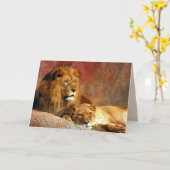 大きな猫セット – 6 カード (黄色い花)