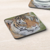 大きな猫トラの驚くべき野生生物写真 コースター (左側)