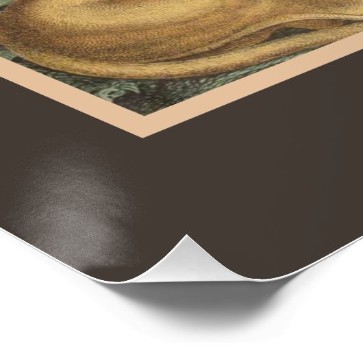 大きな猫ライオンズタイガース、ヒョウ、動物プリント ポスター (コーナー)